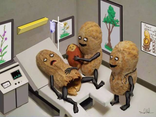 这些花生宝宝真的是太搞笑!