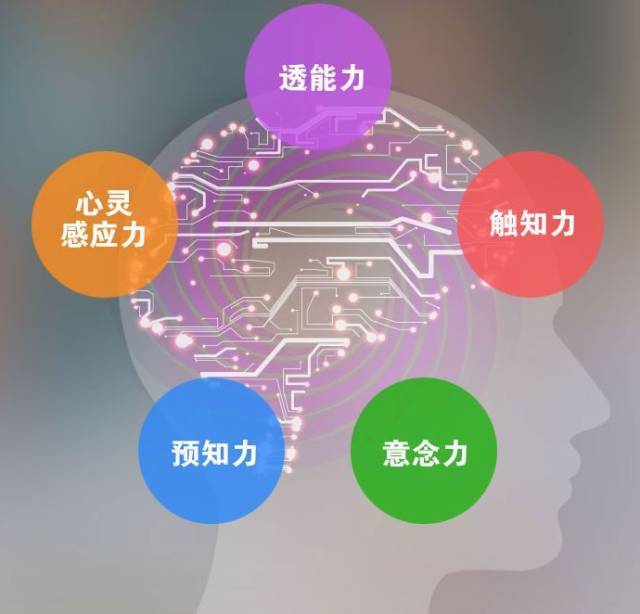 力 首先,开发大脑的共振共鸣机能,使学生获得透视力,触知力,意念力