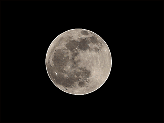 500_375gif 动态图 动图