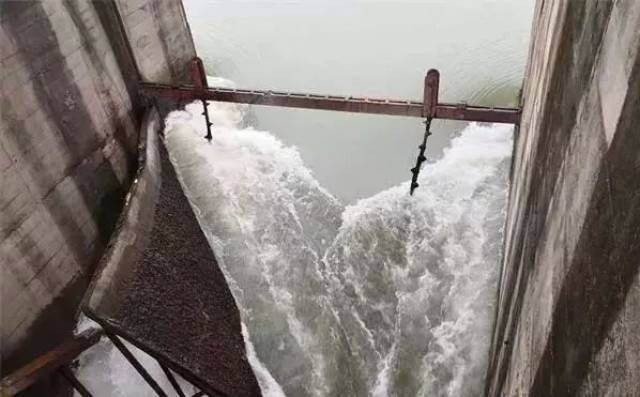 水与电共生的企业生态：水电设备批发行业的动态视界