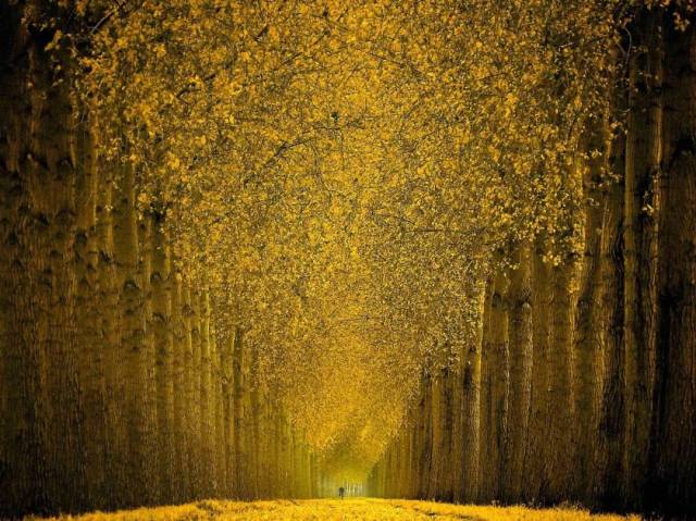 世界顶级摄影展空降魔都!精选68幅大师作品!