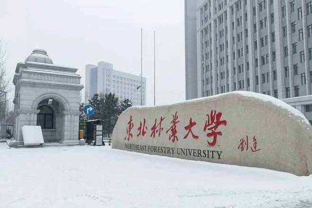 朝鮮-韓國學學院,師範學院,醫學院,法學院,理學院等 東北林業大學