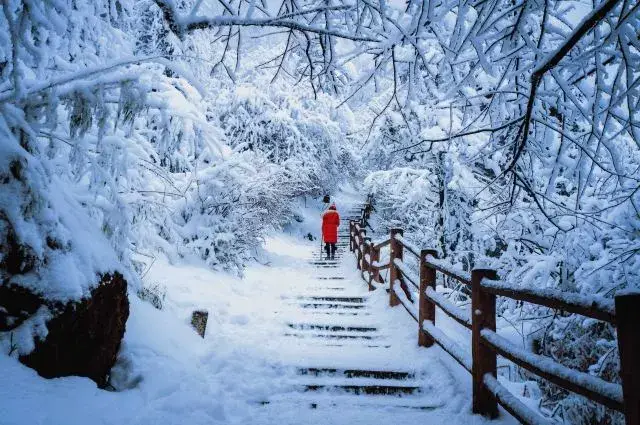 周末带娃去成都周边这几个地方看雪,感受一盘真正的冬天!