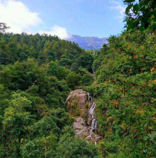 2月3-4日新豐櫻花,泡溫泉,古鎮攝影,雲髻山天然氧吧