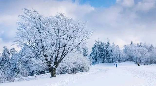 雪的梦幻陶笛周子雷图片