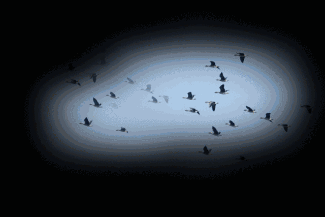 640_427gif 动态图 动图