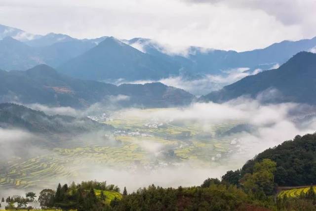 婺源油菜花,黃山,西遞宏村,新安江畫廊,千島湖11日深度攝影採風