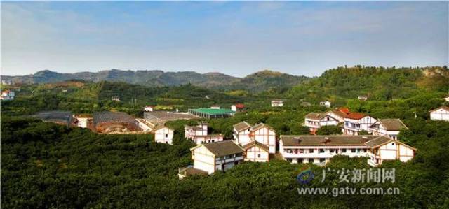 著名纪录片导演王海兵到广安指导拍摄电视系列