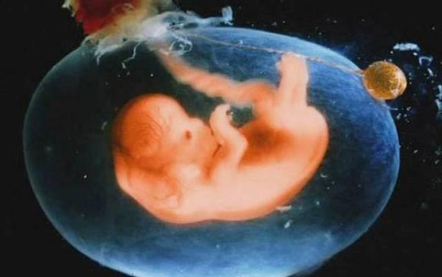 胎宝宝在妈妈肚子里是怎么拉粑粑的?结果太重口了!