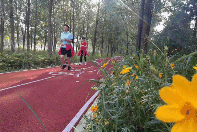 640_430gif 动态图 动图