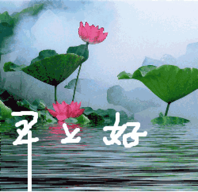 250_242gif 动态图 动图