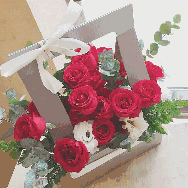 640_640gif 动态图 动图