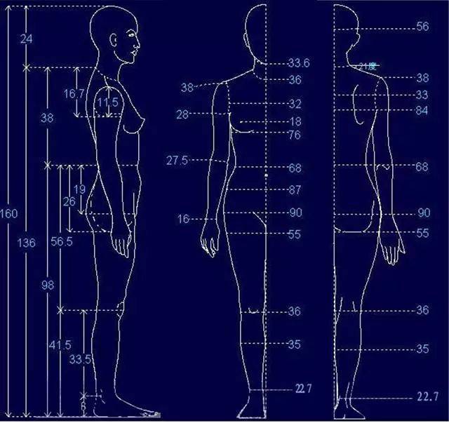 人体量衣服尺寸示意图图片