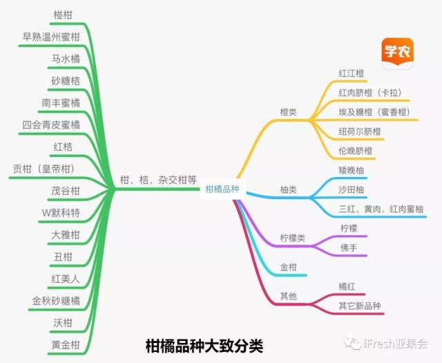 种柑橘还有哪些好品种可选?