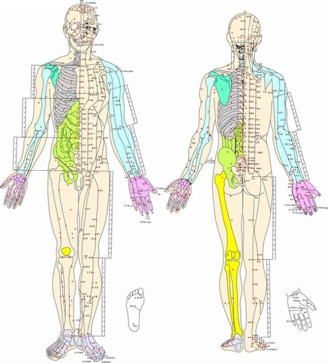 穴位就是人體的大藥房