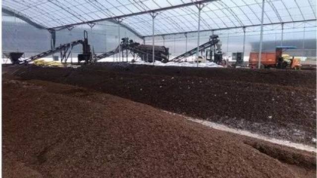 (您忽视的是?)草木灰用于鱼虾蟹塘的三大作用