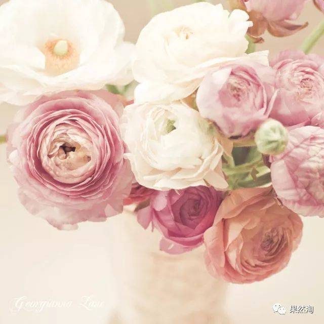 【安卓\/苹果】万能看盒子-影视+视直播\/福利网