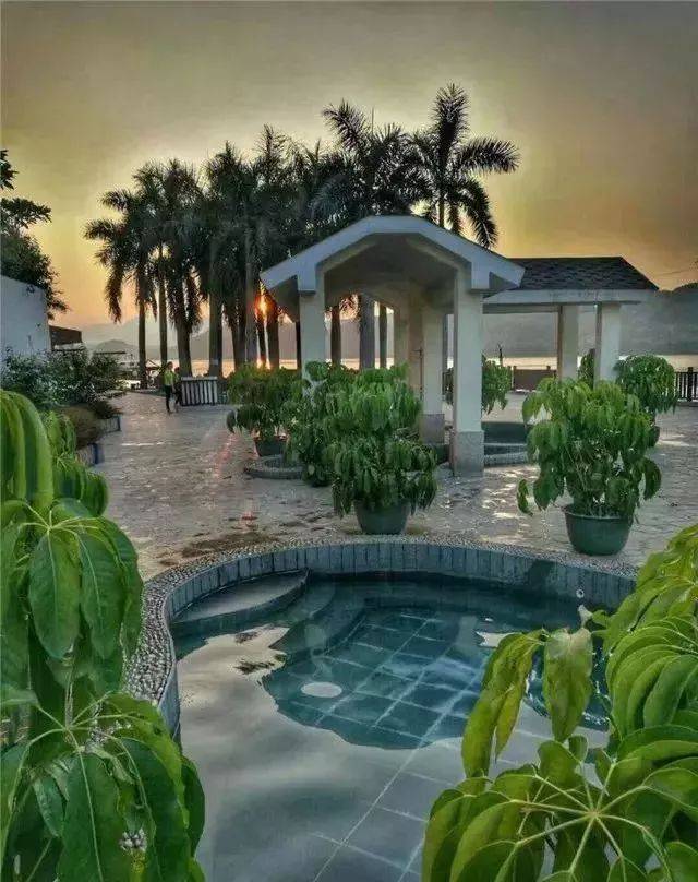 过年不涨价~英德这里39.9元泡温泉 赏花海!限时抢购!