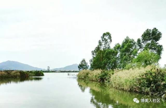 一日他帶著同行數友 出現在陸豐博美地面 在北側一帶山嶺幾處崩陷的