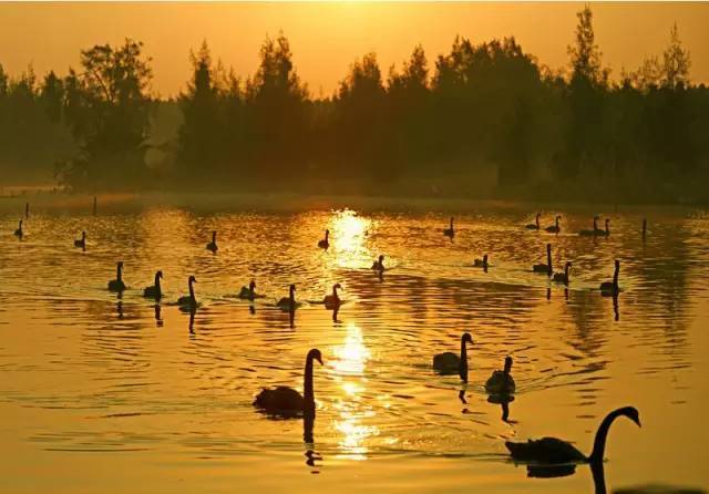 漳州市云霄县红树林湿地生态公园