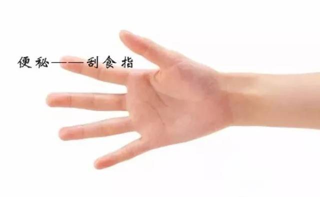 2,便秘——刮食指