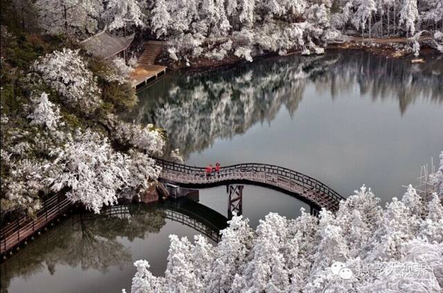 放眼过去九仙山一片白雪皑皑(张加陛摄 怎么样,是不是美爆了?