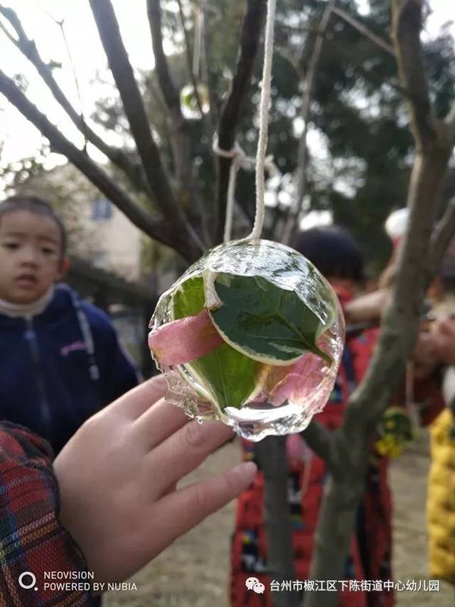 冬日里盛开的小冰花