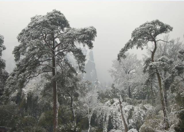 女友总想太多怎么办!