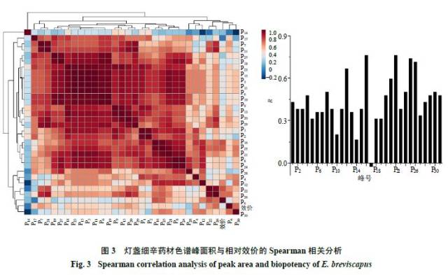 基于谱效关系的灯盏细辛体外抗血小板聚集活性