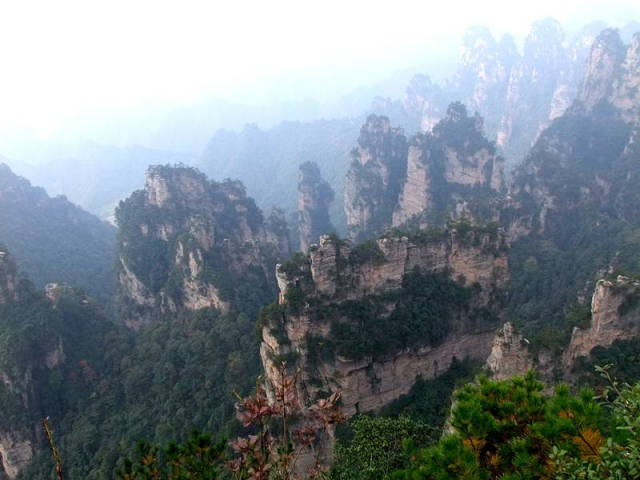 2018年张家界森林公园门票最新报价,门票订购