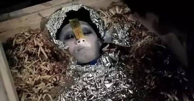 2005年四川南充僵尸事件