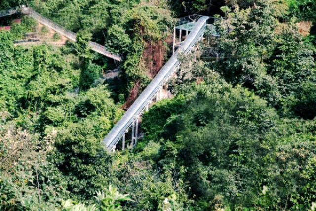 纯玻璃透明的飞机还没有面世,三水南丹山的玻璃滑道可以体验空中飞翔