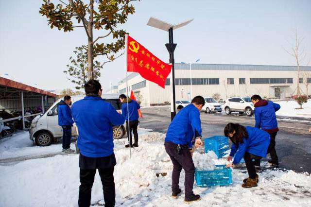 张伟兴 2018年1月安徽滁州下了2场大雪,深厚的积雪给安徽胜华波公司