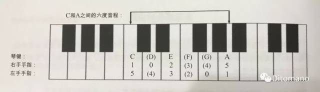 法国号钢琴左手指法图片