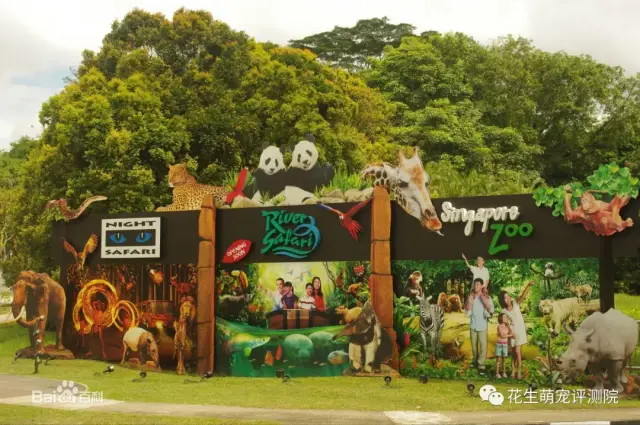 花生大事件|全球最好玩最有趣的十大動物園,你去過幾個呢