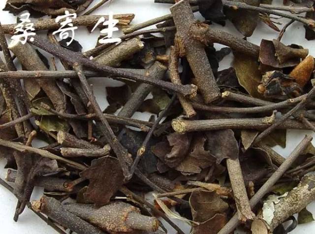 现代研究表明,桑枝对淋巴细胞转化率低下的患者有一定治疗作用,可用于