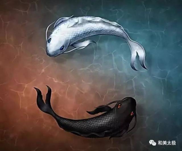 我把太极拳比作鱼,把松比作水,练拳如能扮好,就如鱼得水,鱼在水中能