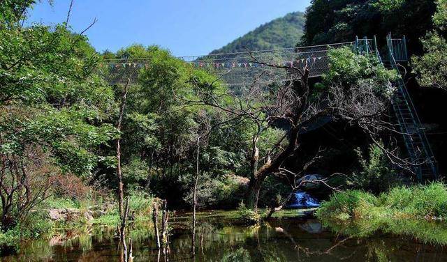 宋山森林公园位于长江与清江交汇处的宜都市宋山森林公园,竹,是森林