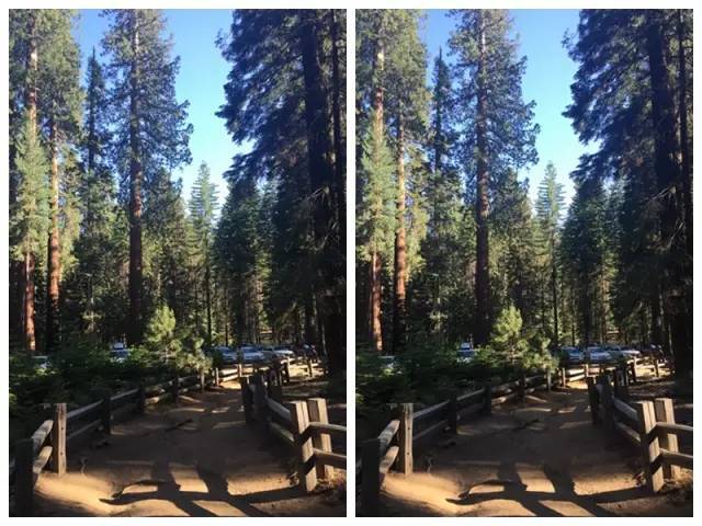 看完你也能成为一个出色的"手机摄影师"