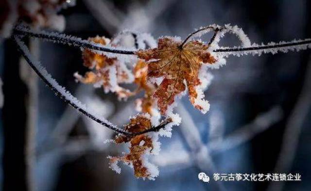 清平乐·雪 孙道绚