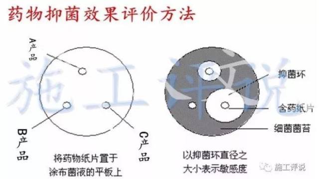 成功就暴利的冬棚虾,管理上也要区别对待,铺膜池调水防病要注意这些