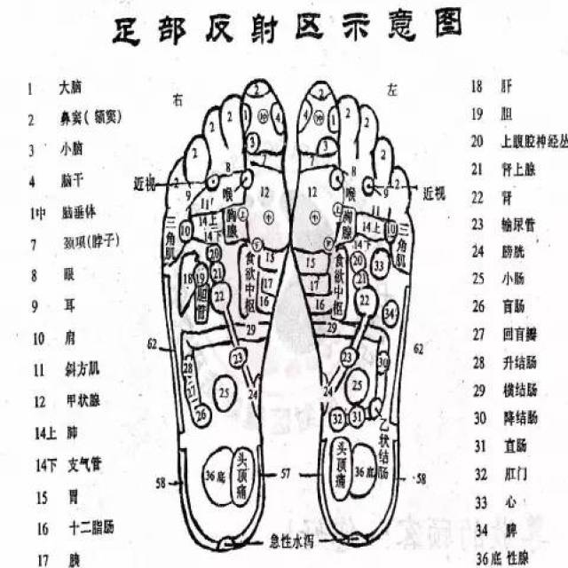 技術足療反射區對應圖手法疾病都有說明