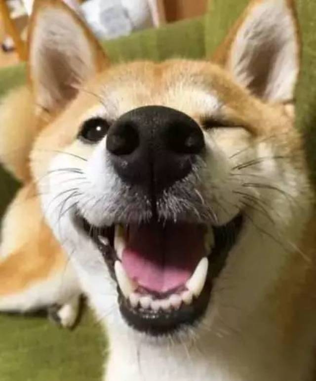 有笑不露齿的