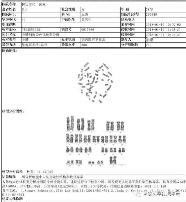 染色体核型分析报告图片