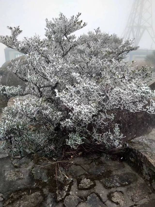 潮州凤凰天池下雪图片