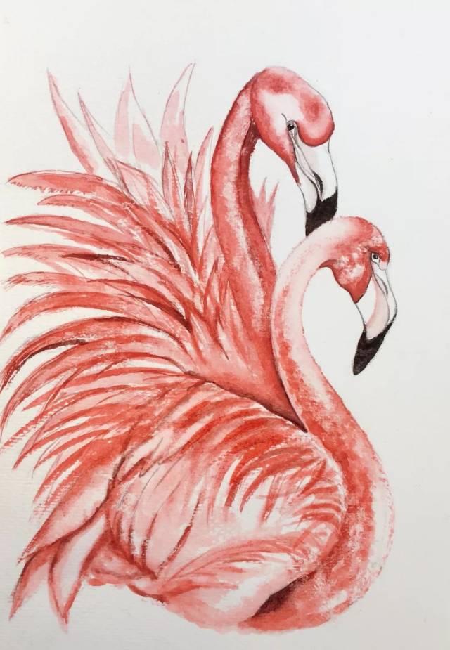 死穴 19                    类别:临摹水彩  感悟:红红火火的火烈鸟