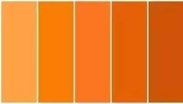 橘色 棕色的调入降低了橘色的饱和度 让平色亮眼的橘色变得亚光又大气