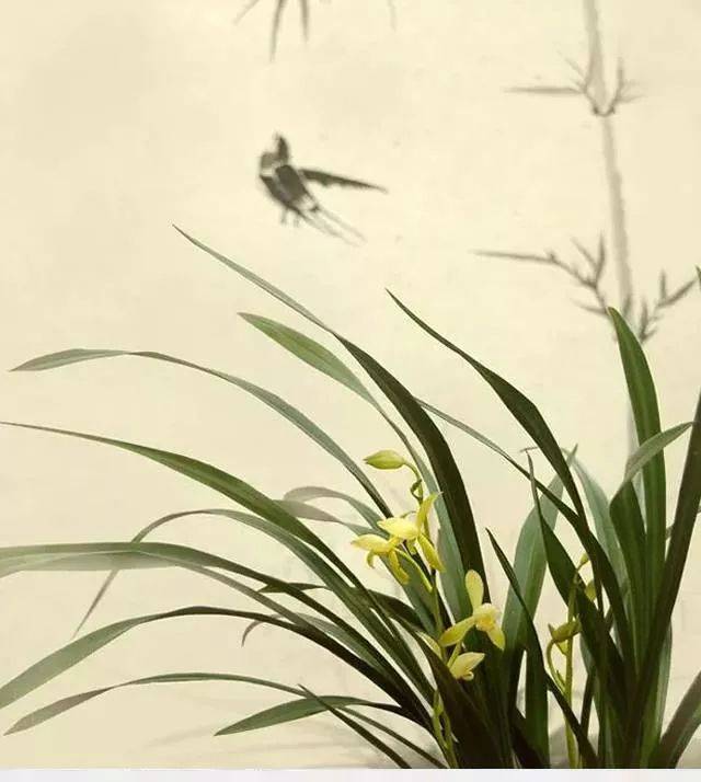 古琴幽兰管平湖怎一个清字了得