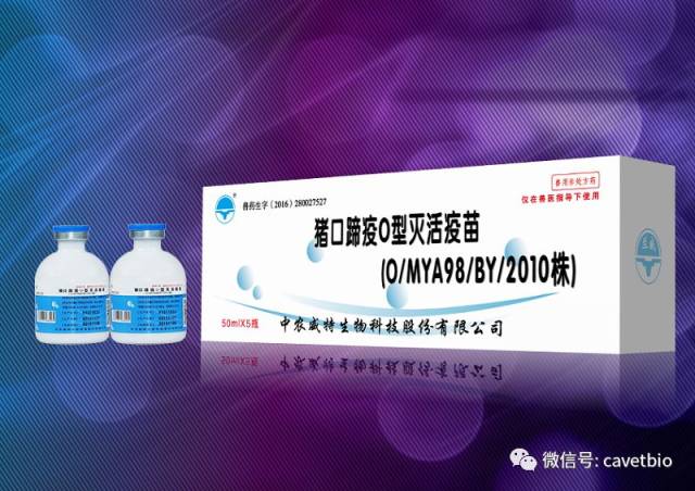 牛疫苗:养殖业的新风向标