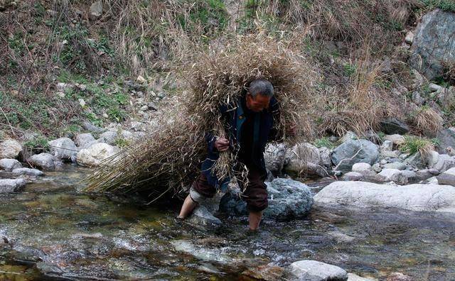 在秦岭深山里,有不少孤苦无依的老人们,它们的子女有的意外离世,或者